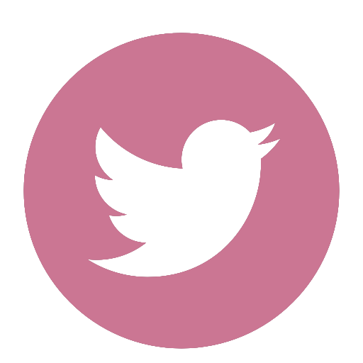 twitter Icon